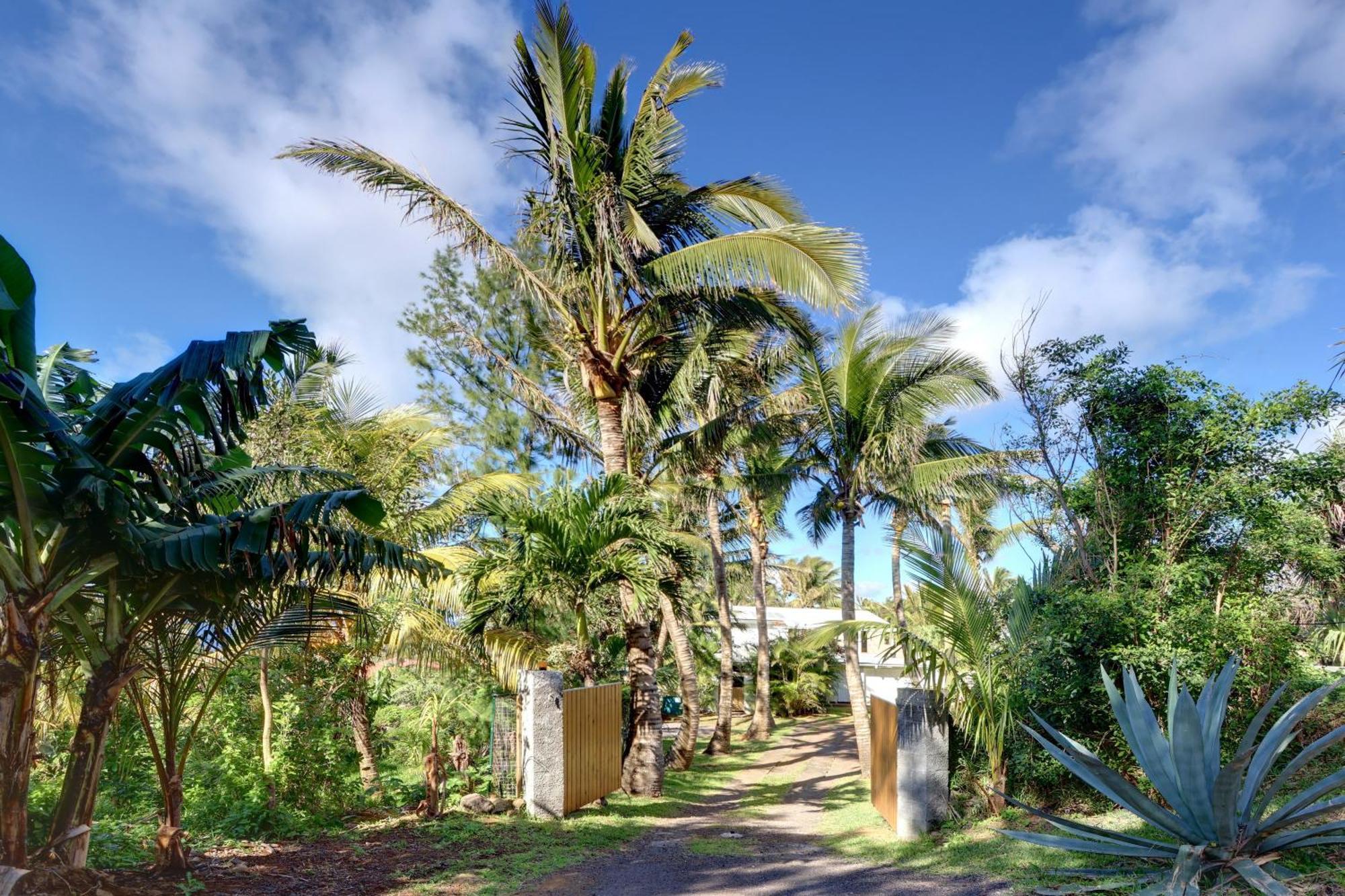 La Case Coco - Maison Climatisee A Saint-Joseph Buitenkant foto